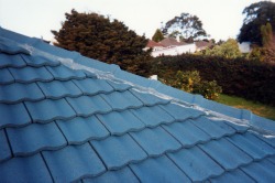 Concrete Roof Painting.